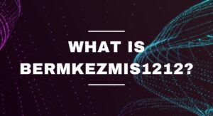 What is Bermkezmis1212?